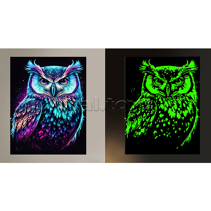 Картина по номерам 30х40 "Ночная сова" черный холст светящаяся краска 20 цветов