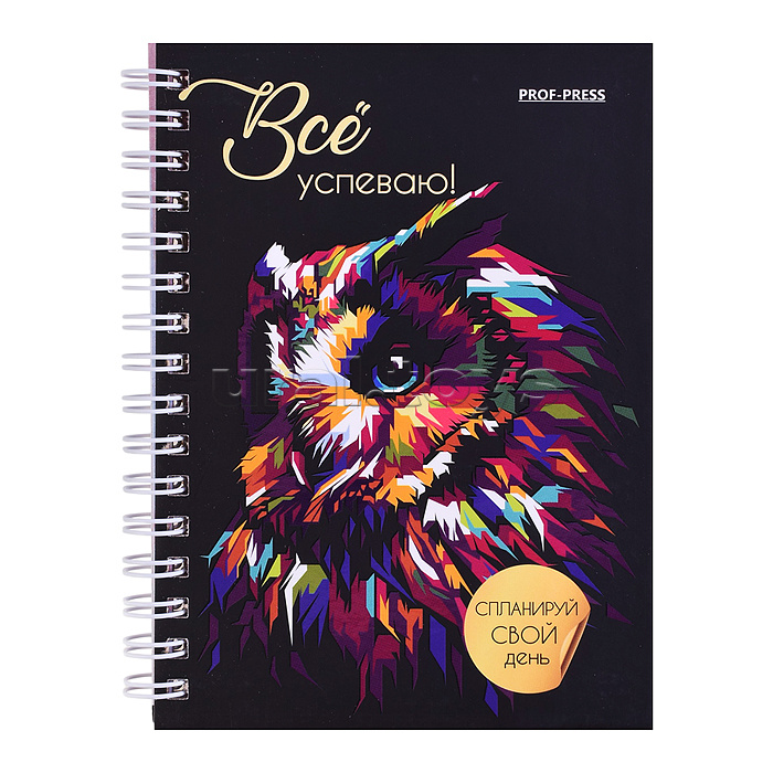 Ежедневник А6, 48л, "Сова" 7БЦ, мат. лам, выб.лак, блок офсет80г полноцв., 105х144