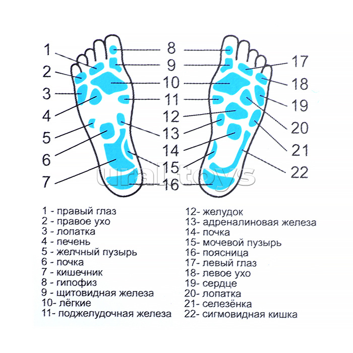 Диск здоровья Стройная фигура