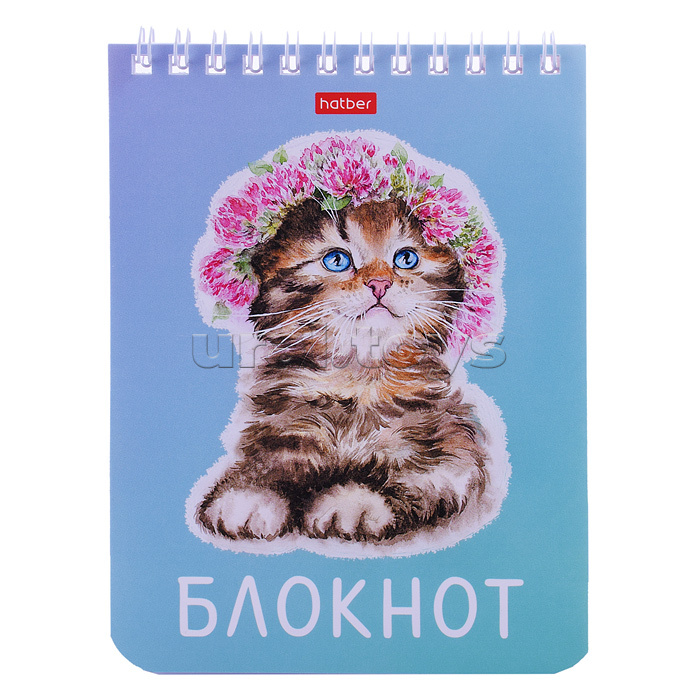 Блокнот 40л А6 клетка "Котики бывают разными"