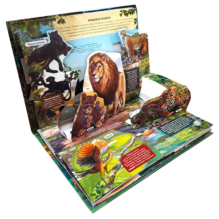 POP UP энциклопедия. Хищники книжка-панорамка