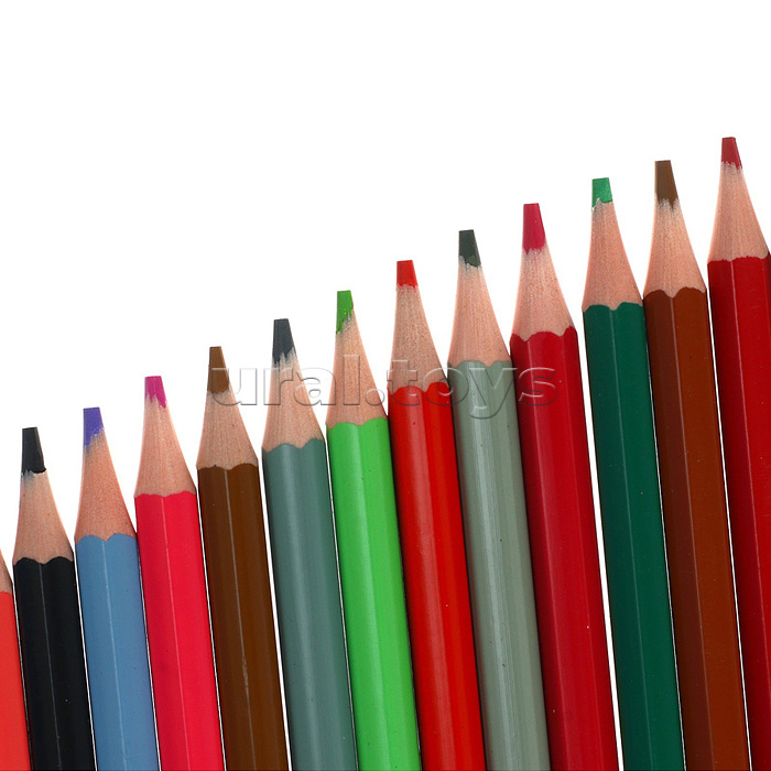 Карандаши цветные шестигранные 36 цв. "ZOO" (пластиковые)