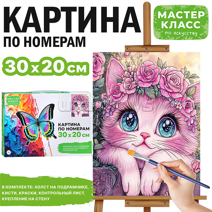 Картина по номерам "Кошечка" 30*20 см.