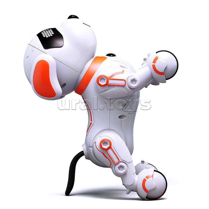 Собака "КиберЛап" в коробке