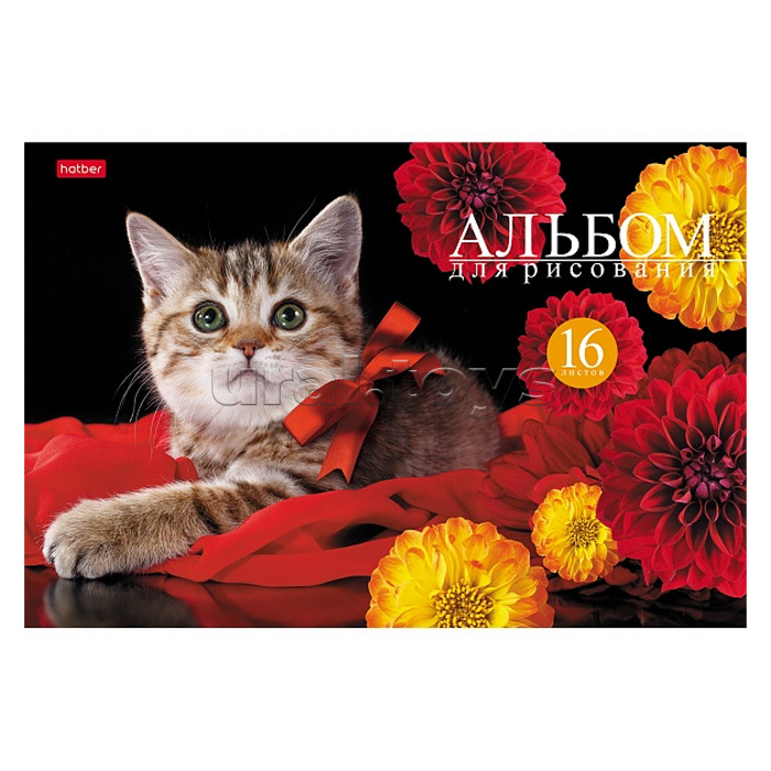 Альбом для рисования 16л А4 на скобе серия "На мягких лапках"