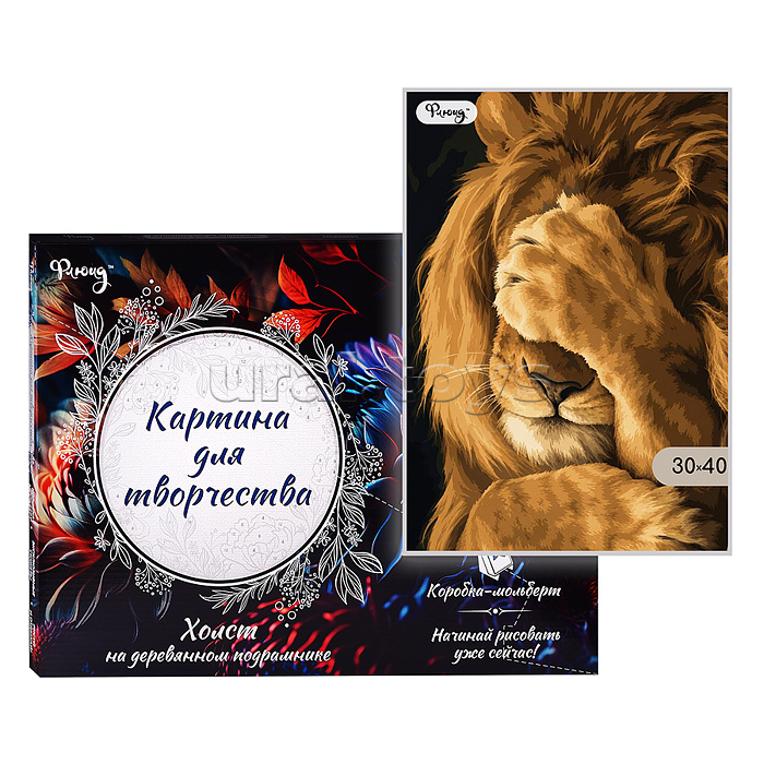 Картина по номерам 30х40 "Шшш... Лев отдыхает" (4 цветов)