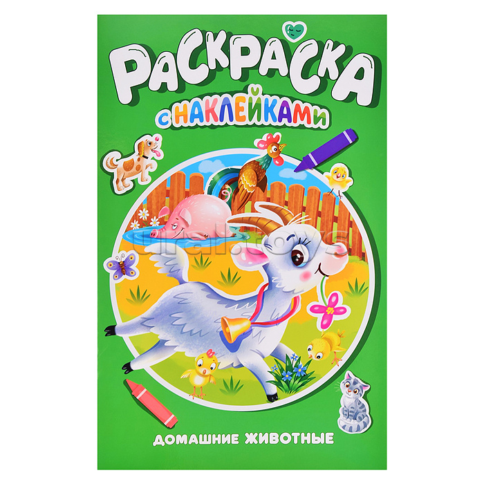 Раскраска с наклейками. Домашние животные