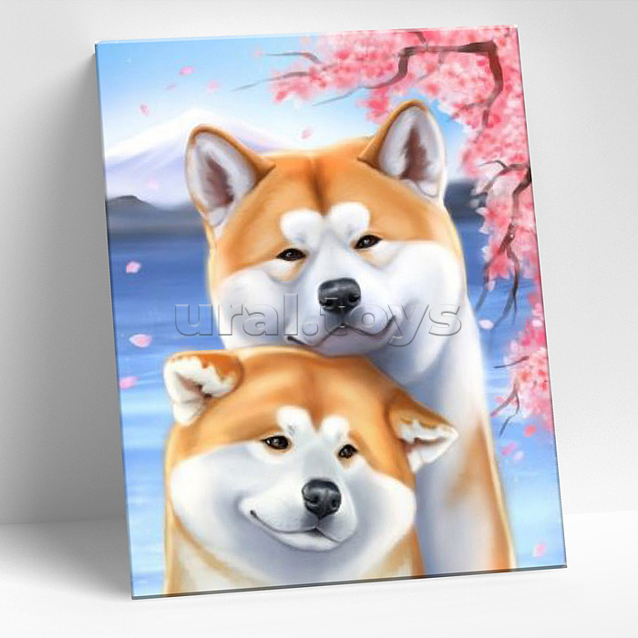 Картина по номерам 15х20 "Акита-Ину" (12 цветов)