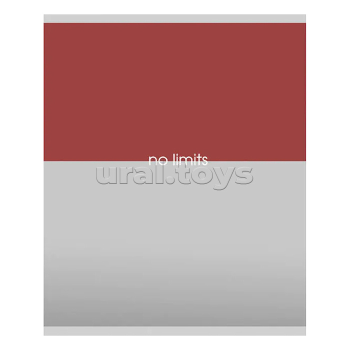 Тетрадь 48л. клетка "Moment" А5 скрепка