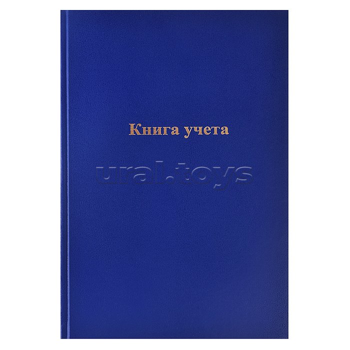 Книга учета A4 96 л пустографка, офсет 60 г/м², 92% белизна, твердая обложка бумвинил + тиснение фольгой/КУ-523