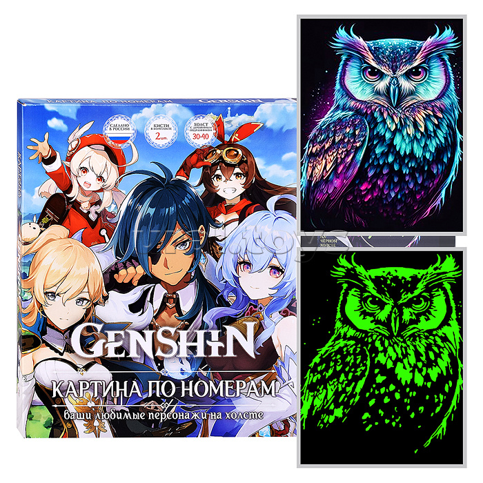 Картина по номерам 30х40 "Ночная сова" черный холст светящаяся краска 20 цветов