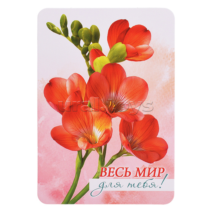 Набор мини-открыток "Акварельные цветы"