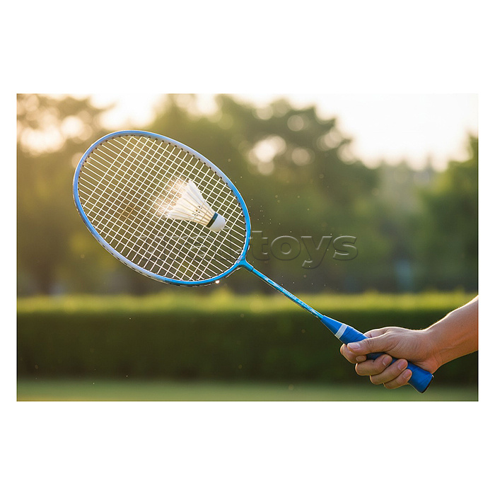 Набор Бадминтон (2 ракетки) в пакете
