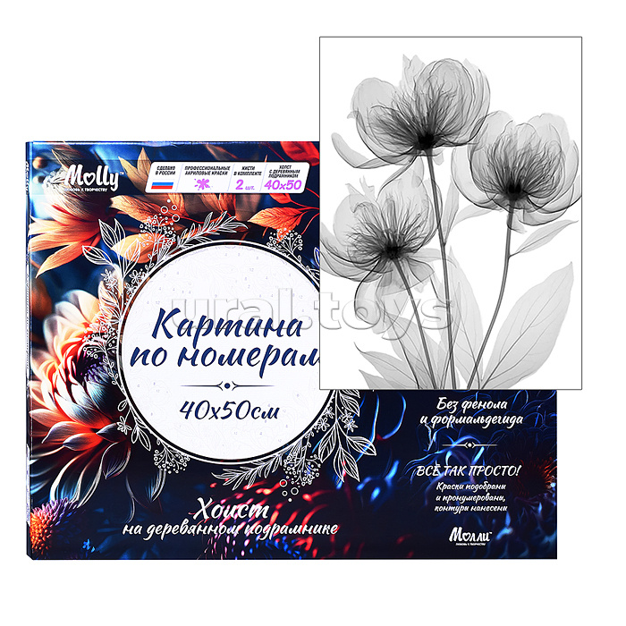 Картина по номерам 40х50 "Монохромная цвнточная композиция" 8 цветов