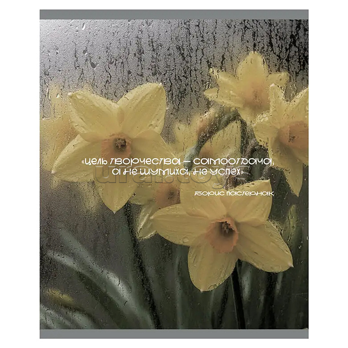 Тетрадь 48л. клетка "После дождя" А5 скрепка