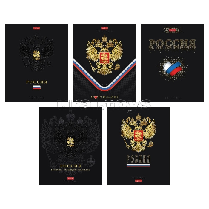 Тетрадь 48л. А5 клетка "Россия" 60-65г/кв.м на скобе мат.ламин. 3D фольга 3D лак 5 диз.в блоке скругл.углы