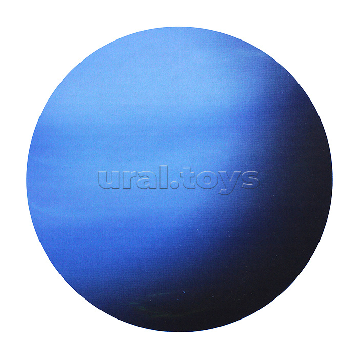 Раскопки "Нептун" в коробке