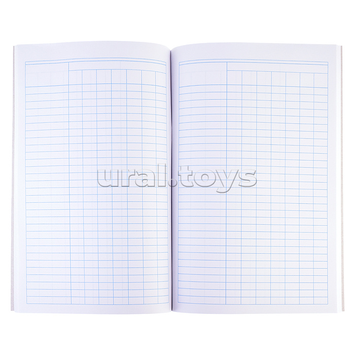 Книга учета бухгалтерская A4, 96 л пустографка, офсет 55-60 г/м², 90% белизна, обложка из немелованного картона 220 г/м² + корешок б/в /13940 Книга учета бухгалтерская A4, 96 л пустографка, офсет 55-60 г/м², 90% белизна, обложка из немелованного картона 220 г/м² + корешок б/в /13940