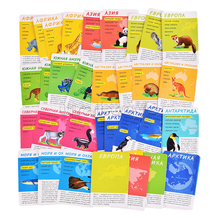 Подарок для самых умных. Животные мира. Книга+Большая раскраска+Игра-ходилка+Карточная игра.