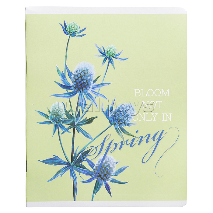 Тетрадь 48л. клетка "Spring" А5 скрепка