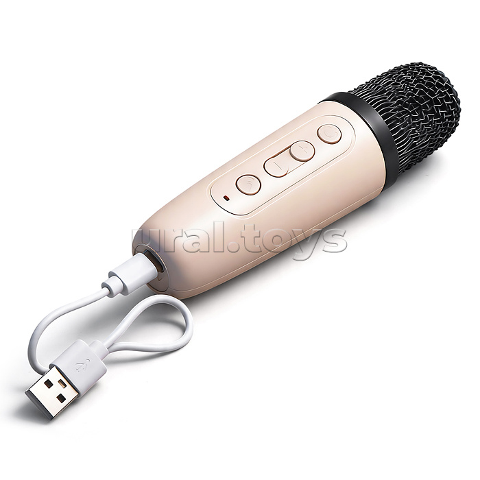 Караоке - центр игрушечный "Петь и зажигать" в коробке