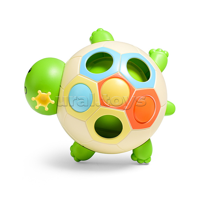 Черепашка "Глаша" в коробке