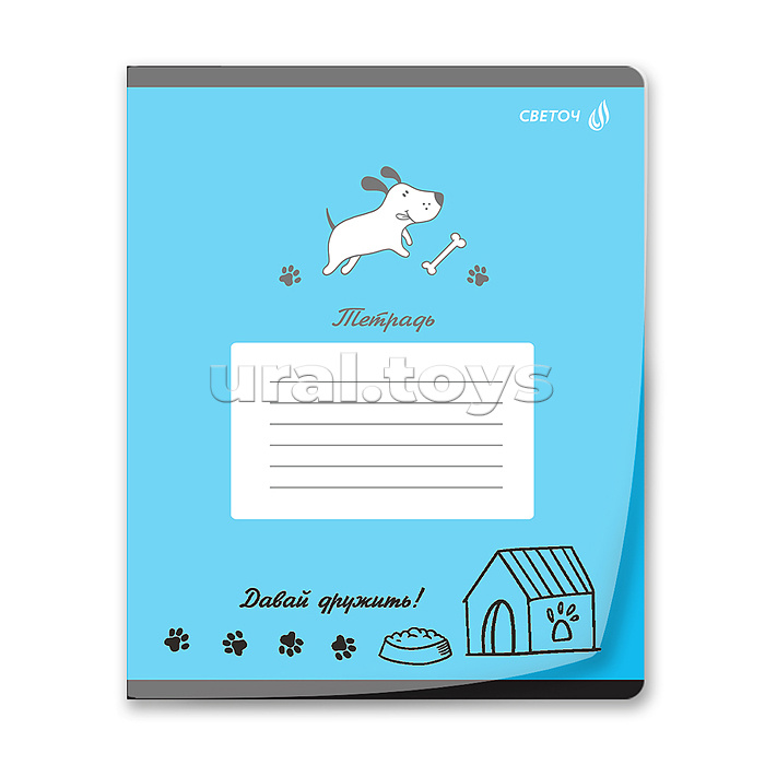 Тетрадь 12л. линия "Давай дружить" пластик. обложкой 180 мкм. с трафарет. печатью