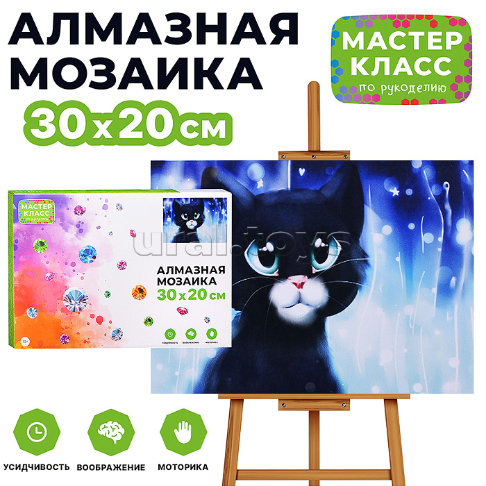 Мозаика алмазная "Чёрный котёнок" 20*30см.