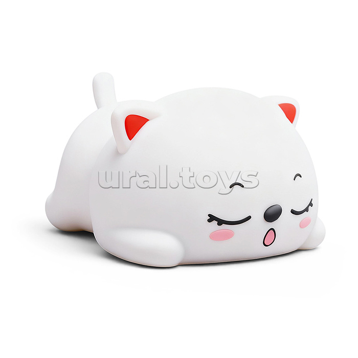 Ночник "Спящий котик" в коробке
