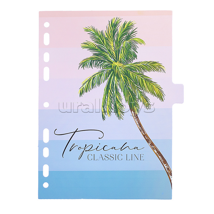 Разделитель листов "Tropicana" A5 (160x210 мм) ламинированный мелованный картон 210 г/м2, с рисунком, 8 шт, индивидуальная упаковка