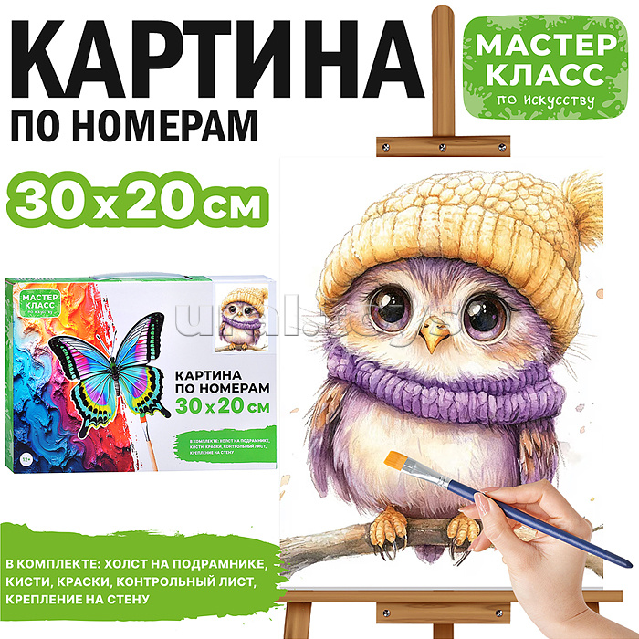 Картина по номерам "Сова в шарфе и шапке" 30*20 см.