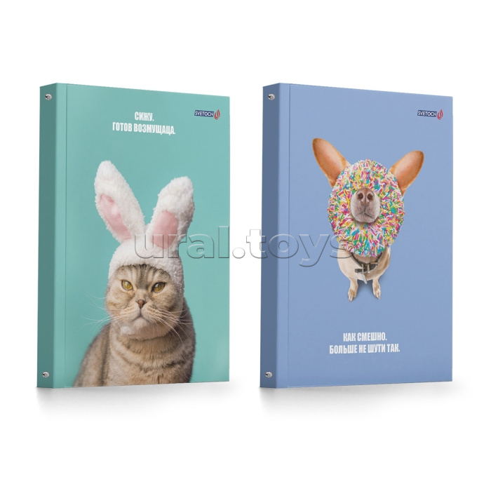 Тетрадь 120л. клетка "Кот и пес" со сменным блоком, матовая ламинация, на кольцах