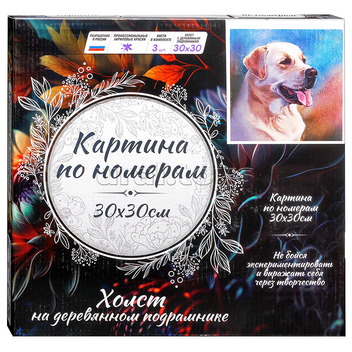Картина по номерам 30х30 "Лабрадор ретривер" (25 цветов)