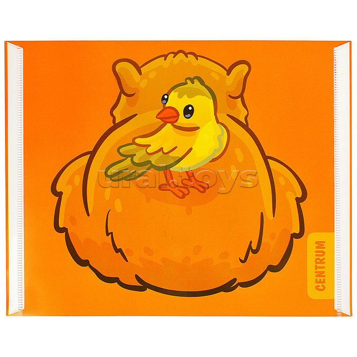 Папка-конверт на кнопке А5, пластик, "Капибара" 180 мкм, двусторонняя печать