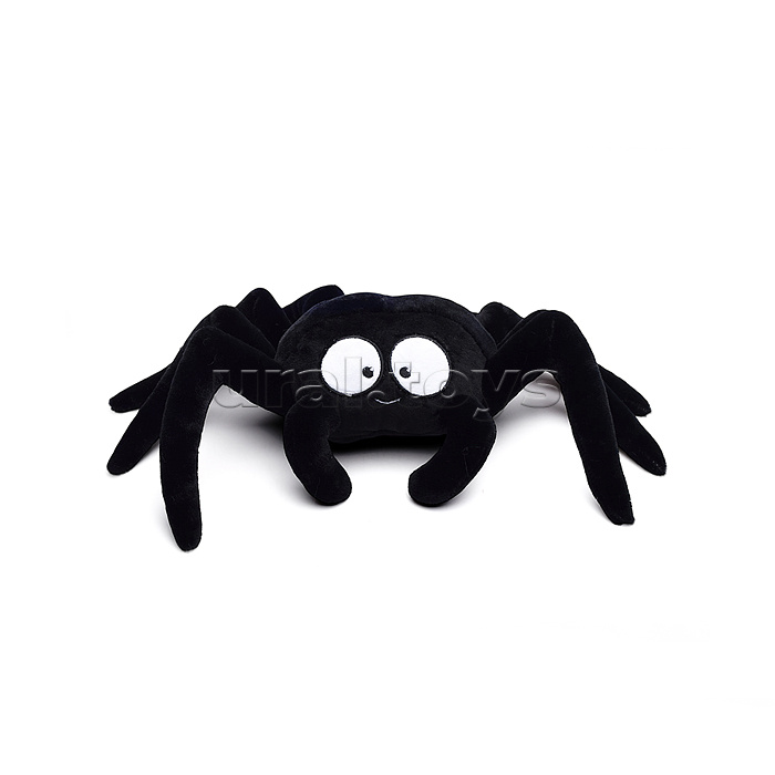 Паук Черныш