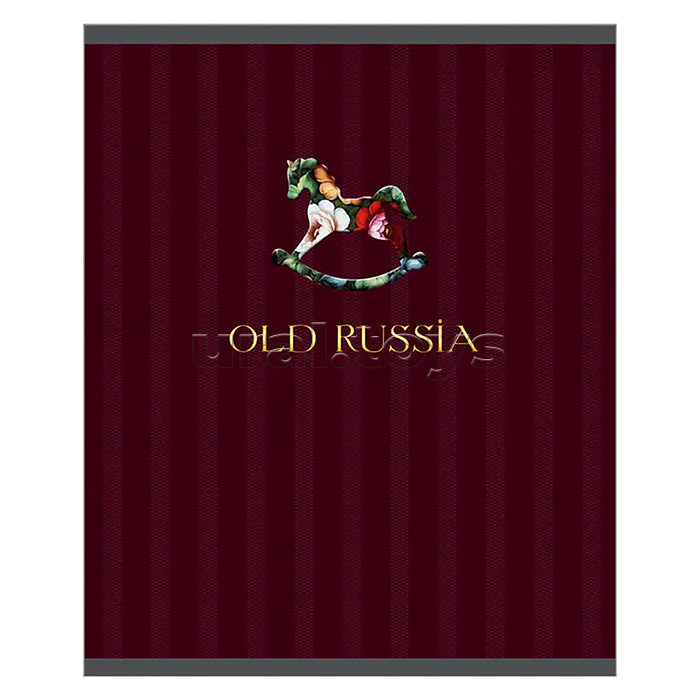 Тетрадь 48л. клетка "Old Russia" А5 скрепка