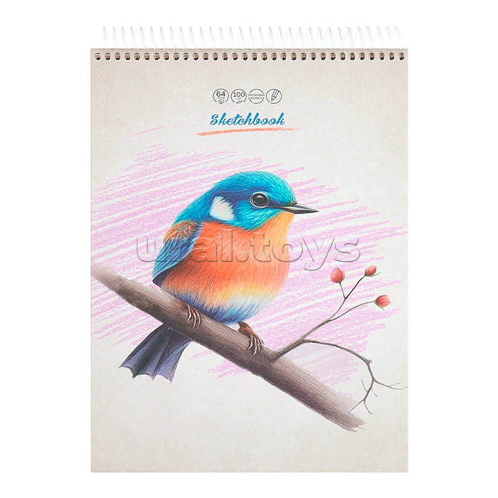 Скетчбук А4, 64л. "На ветке" 7БЦ, на спирали сверху, матовая ламинация 100гм2