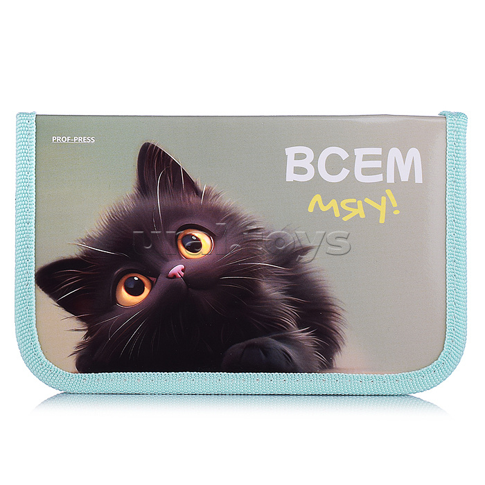 Пенал 1-секц, большой "Милый котик-1" Пенал 1-секц, большой "Милый котик-1"