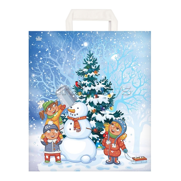 Пакет "Волшебный момент" пакет петлевой (435х380х35)