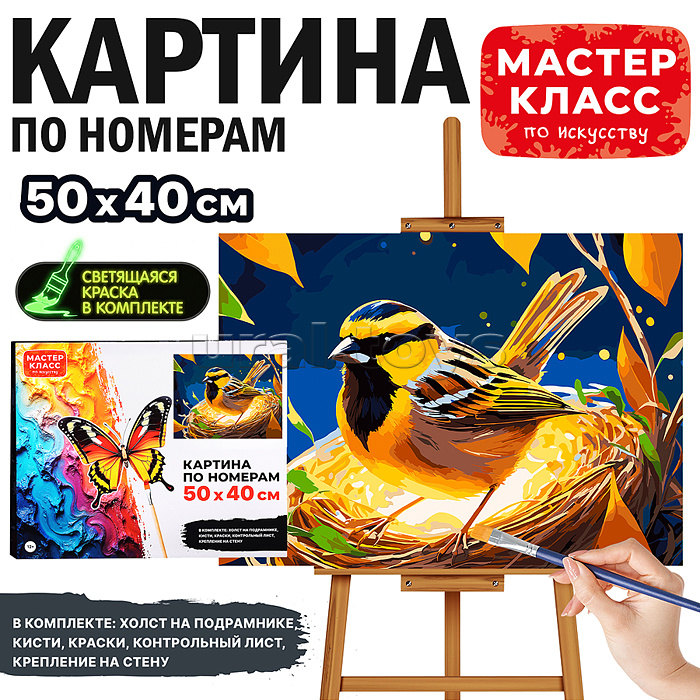 Картина по номерам "Синичка в гнезде" 50*40 см