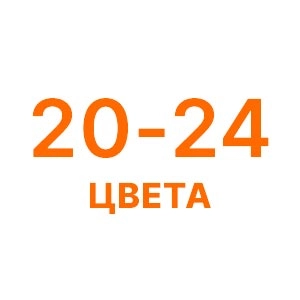 20-24 цветов