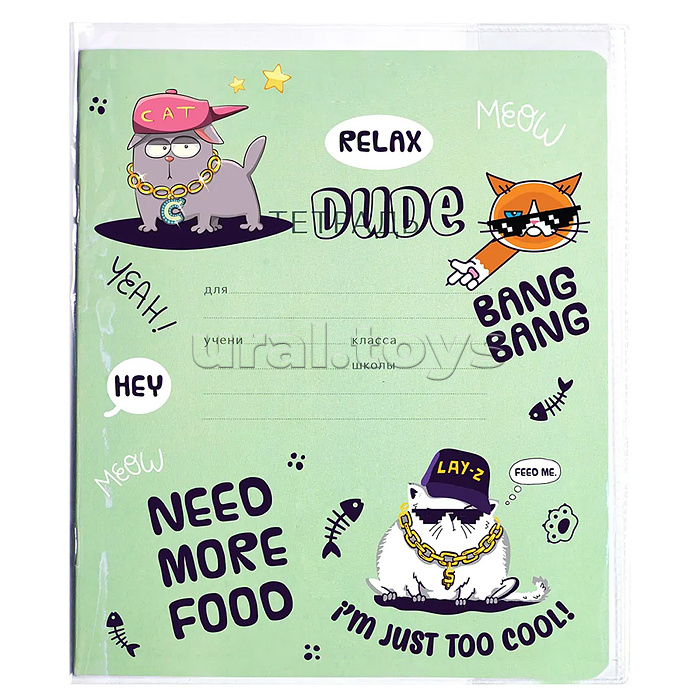 Обложка для дневников и тетрадей "Hey Bro" 355x213 мм, ПВХ 140 мкм, прозрачная с цветным рисунком, 3 шт в пластиковом пакете